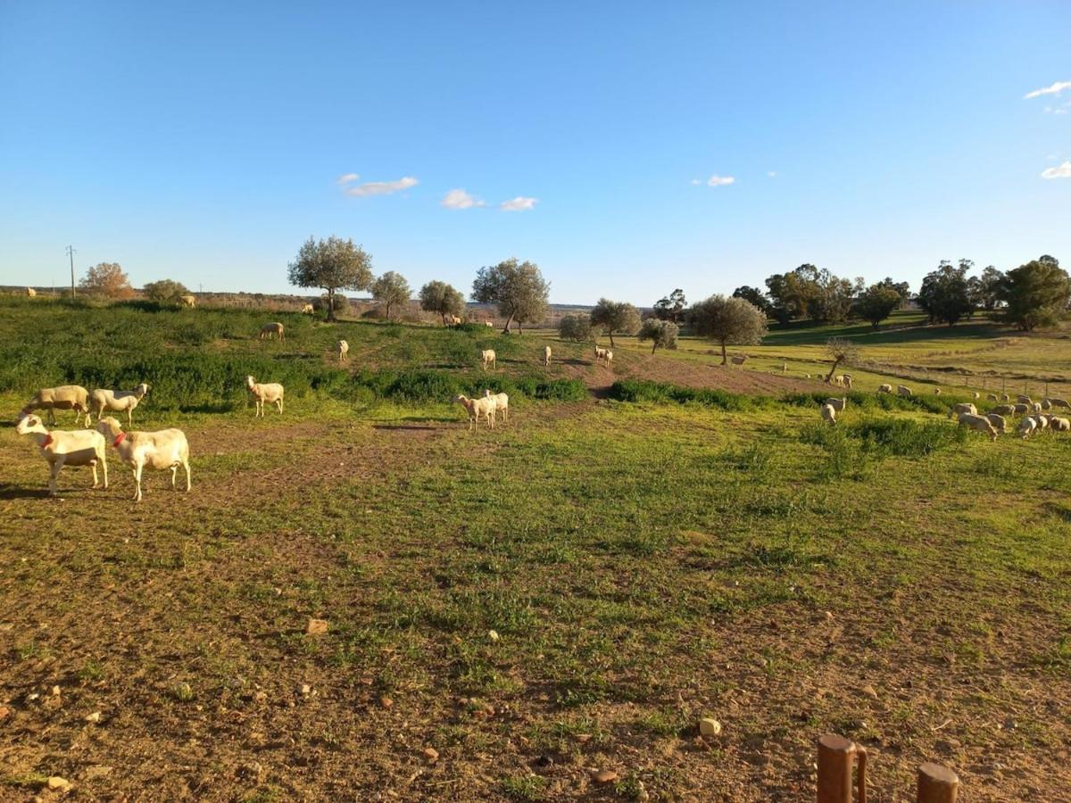 Casa vacanze Oliveiras